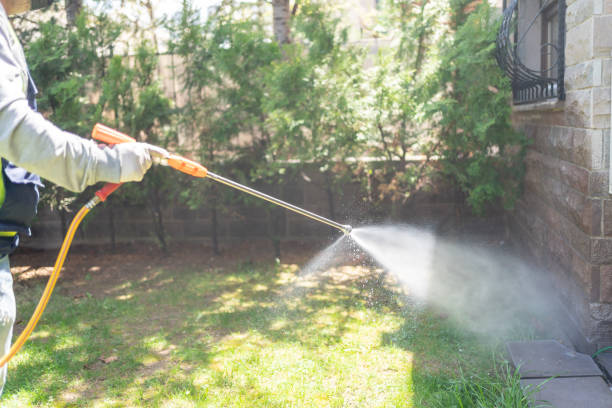 Seasonal Pest Control in River Edge, NJ